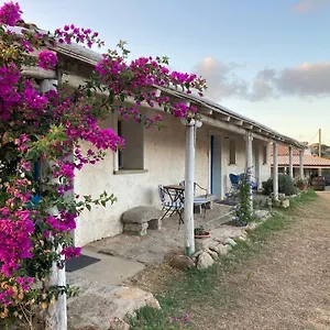 https://agriturismo-la-tana-di-lu-maccioni.in-sardinia.net