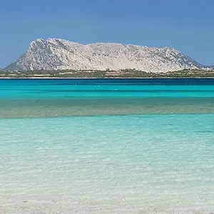 https://nonna-antonietta.in-sardinia.net